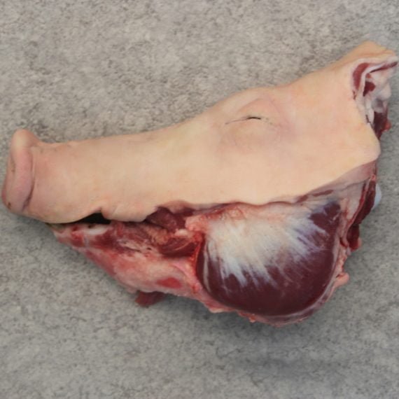 Pig Half Head without Ear