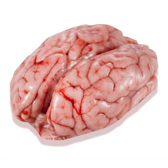 Pork Brains