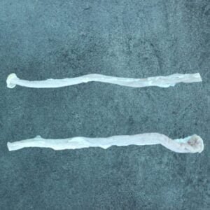 Wholesale Frozen Pork Duodenum