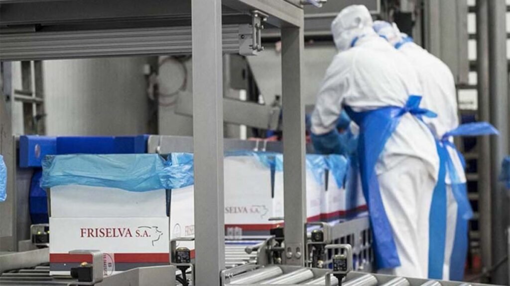 A visual feast of golden pork ruffle fat